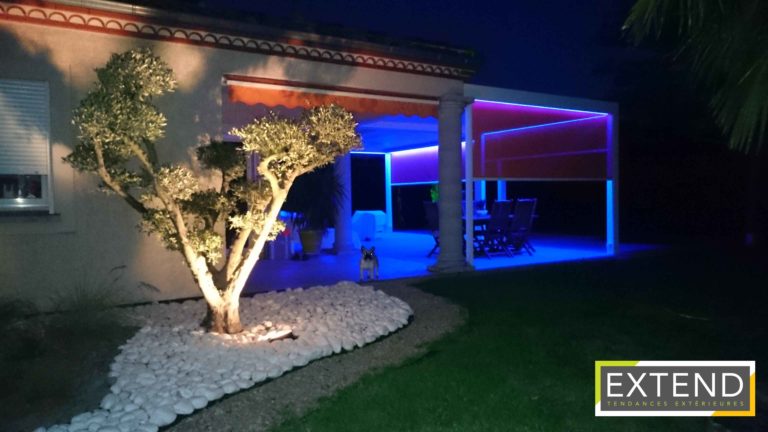 Pergola éclairée en LED bleues et olivier illuminé