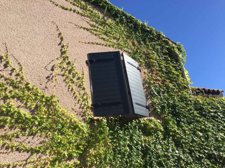 Volets persiennés anthracite sur un mur couvert de lierre