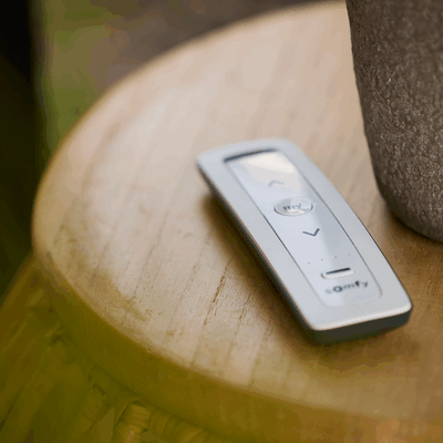 Télécommande Somfy posée sur une table en bois à côté d’un pot de fleur.